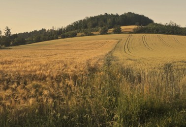 Terrenos