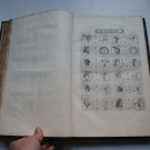 Tratado de numismática com estampas, séc. XVIII