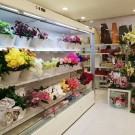 Mural refrigerado para flores Futuro